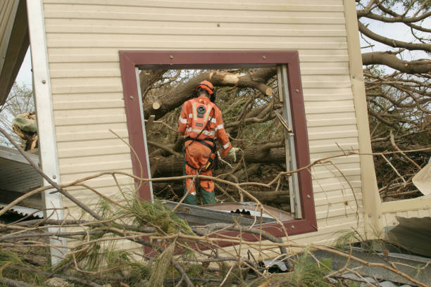 Best Seasonal Cleanup (Spring/Fall)  in Grass Lake, MI